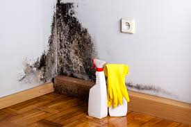 Mold Remediation for Rental Properties in Taylorsville, KY